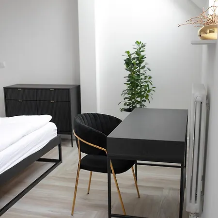 Srebrna Luxury - Fabrykancka - Wnetrza Premium