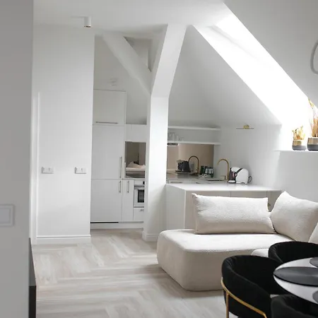 Srebrna Luxury - Fabrykancka - Wnetrza Premium * Łódź