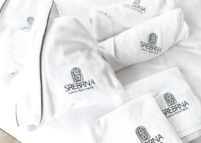 Srebrna Luxury - Fabrykancka - Wnetrza Premium Łódź