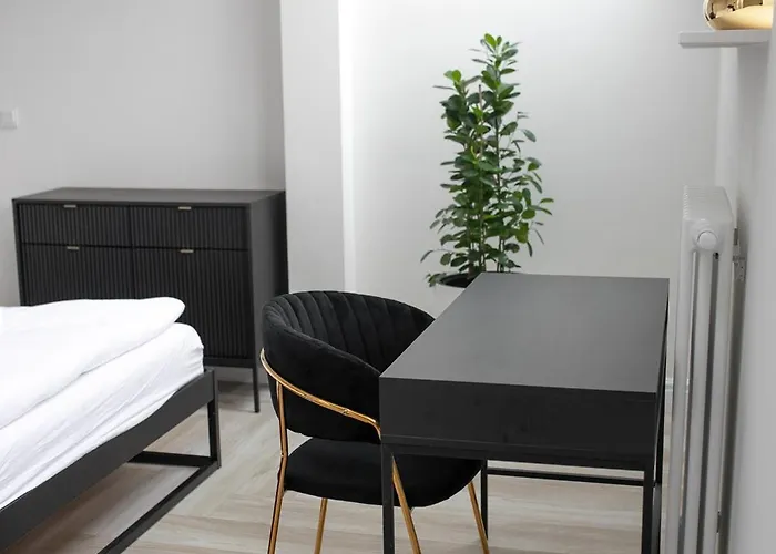 Srebrna Luxury - Fabrykancka - Wnetrza Premium